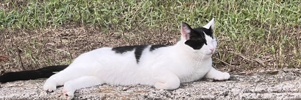 SoapResidue Profile Banner