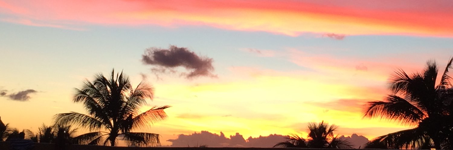 LoudenAnn's profile banner image