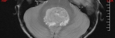 Sacha Langton-Gilks banner