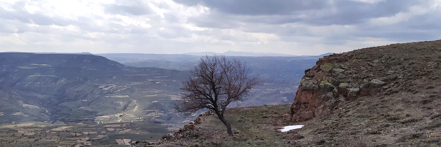 ffatihduran's profile banner image