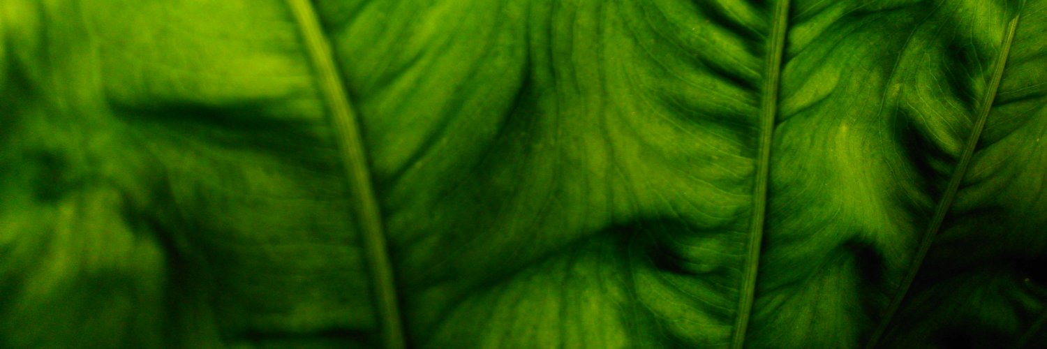 JPddon's profile banner image