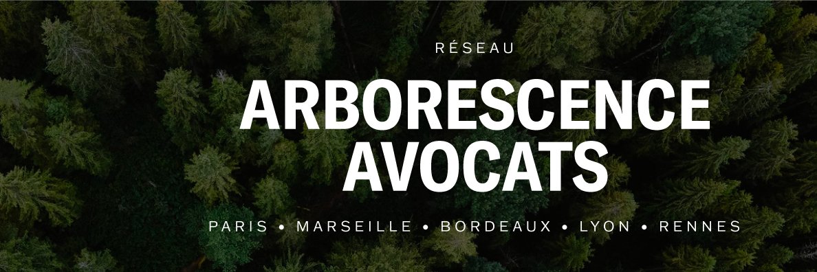 Valentin Le Dily banner