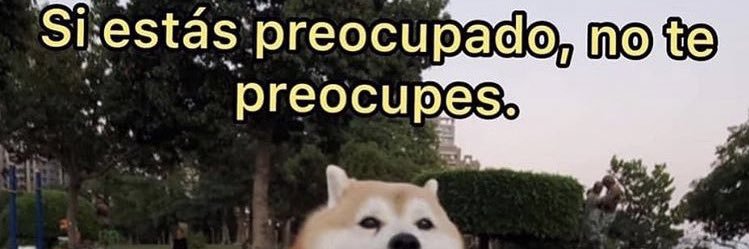 saradedide's profile banner image
