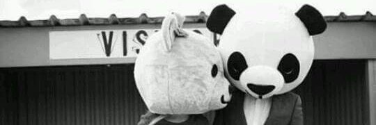 MAPB1580's profile banner image