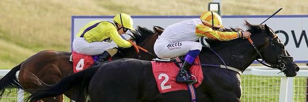 jimboyle17 Profile Banner