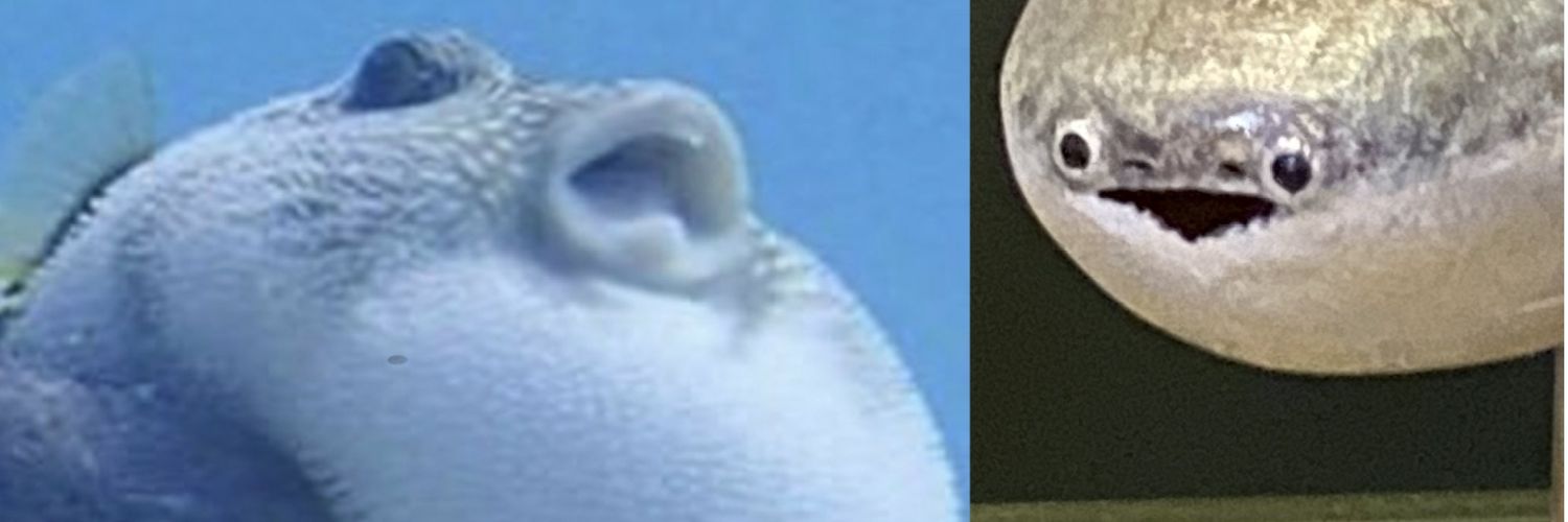 GrumpyLawnMan's profile banner image