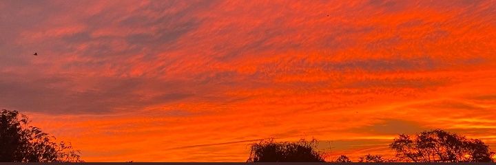 Florrcueevas's profile banner image