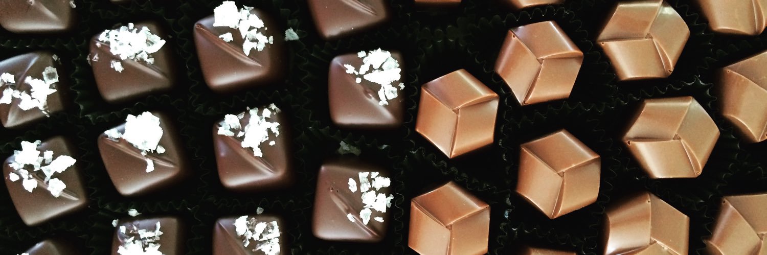 Vanessa Dora Lavorato banner