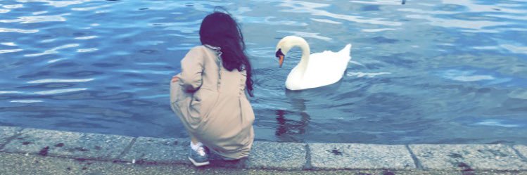 raghad_i's profile banner image