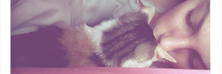 iulia_G16's profile banner image