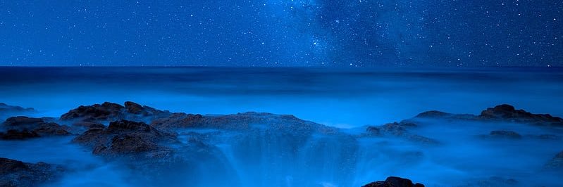 joojoo's dimplesღ⁷🐳 banner