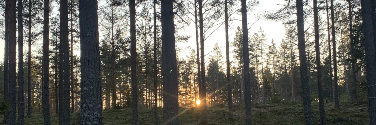 Johanpee's profile banner image