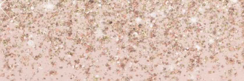 Royall_lOVee's profile banner image