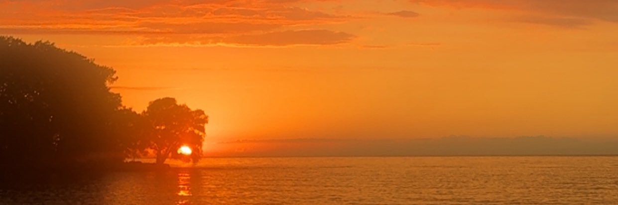 Visual_'s profile banner image