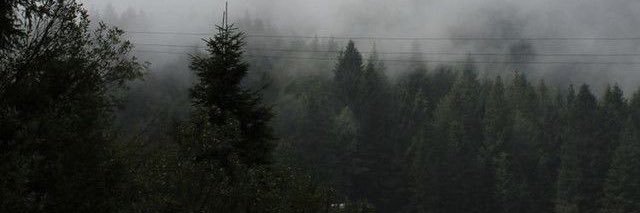 EKendzior's profile banner image