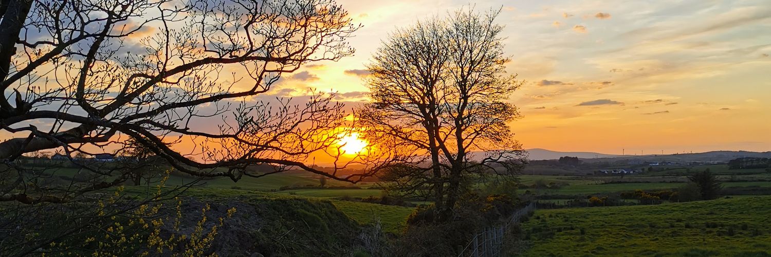 Corrina Grimes banner