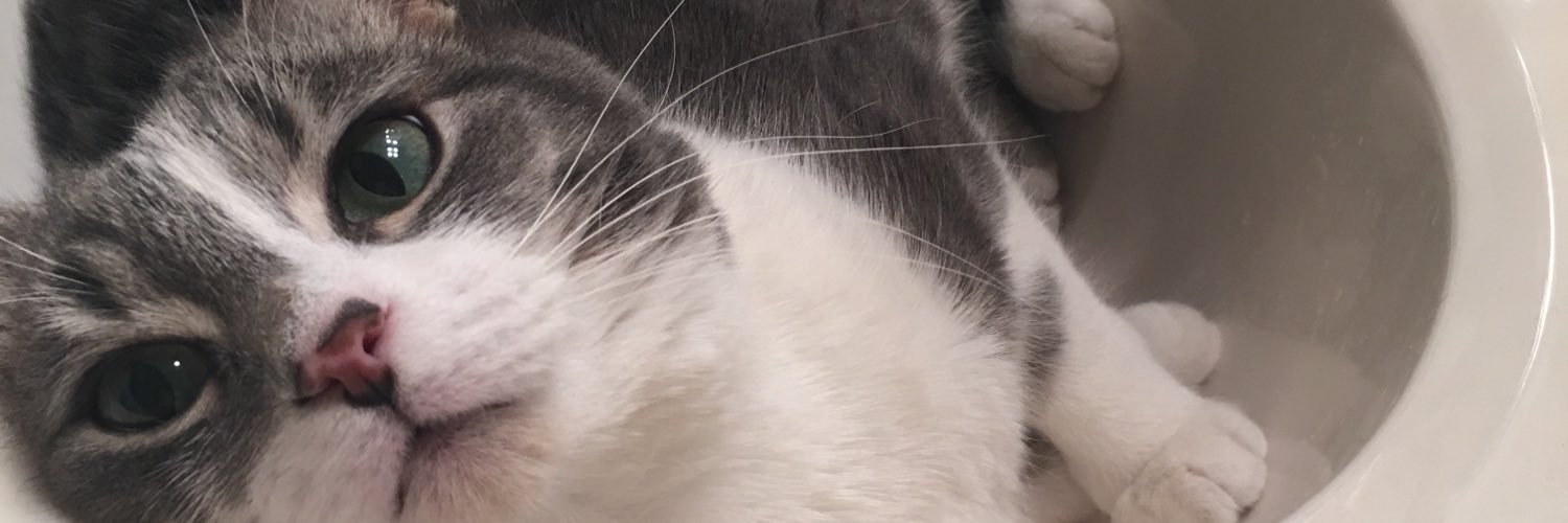 LoRoCo_'s profile banner image