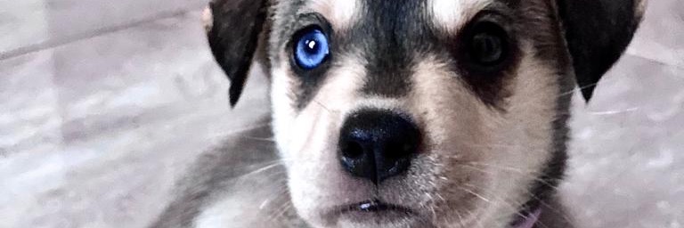 VictoriaGilBJ's profile banner image