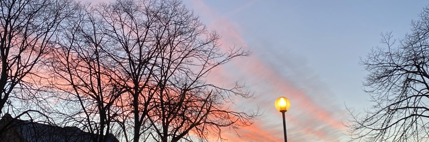 cara_roche's profile banner image