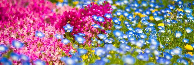 430540's profile banner image