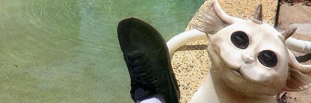 MAOA24's profile banner image