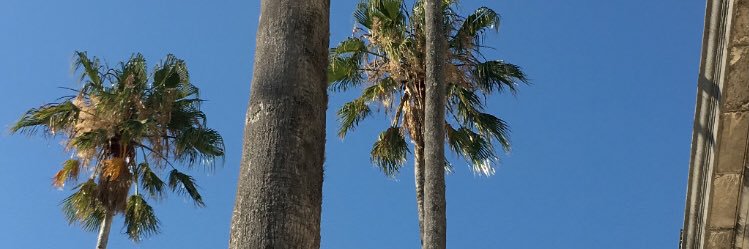 Lissiesteff's profile banner image