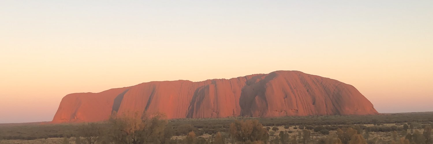 Callum Turtle Lewis banner