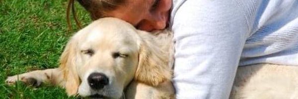 ellierose9 Profile Banner