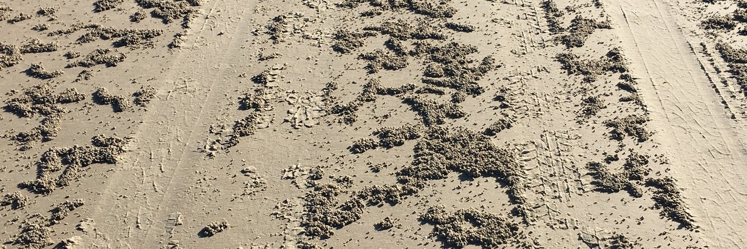 peaps1's profile banner image
