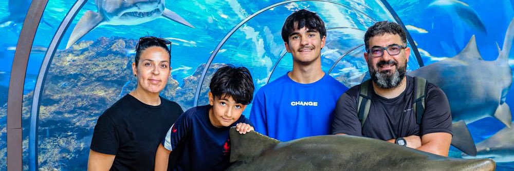 oscarcillo's profile banner image