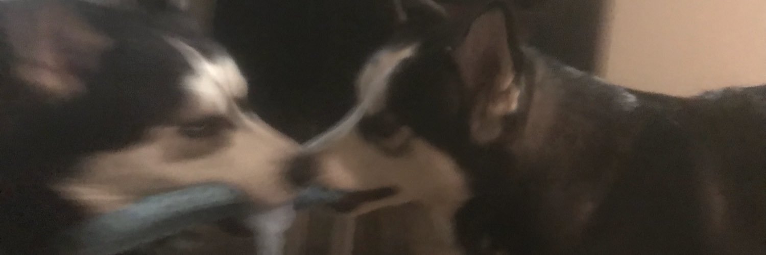 DallasNguyen0's profile banner image