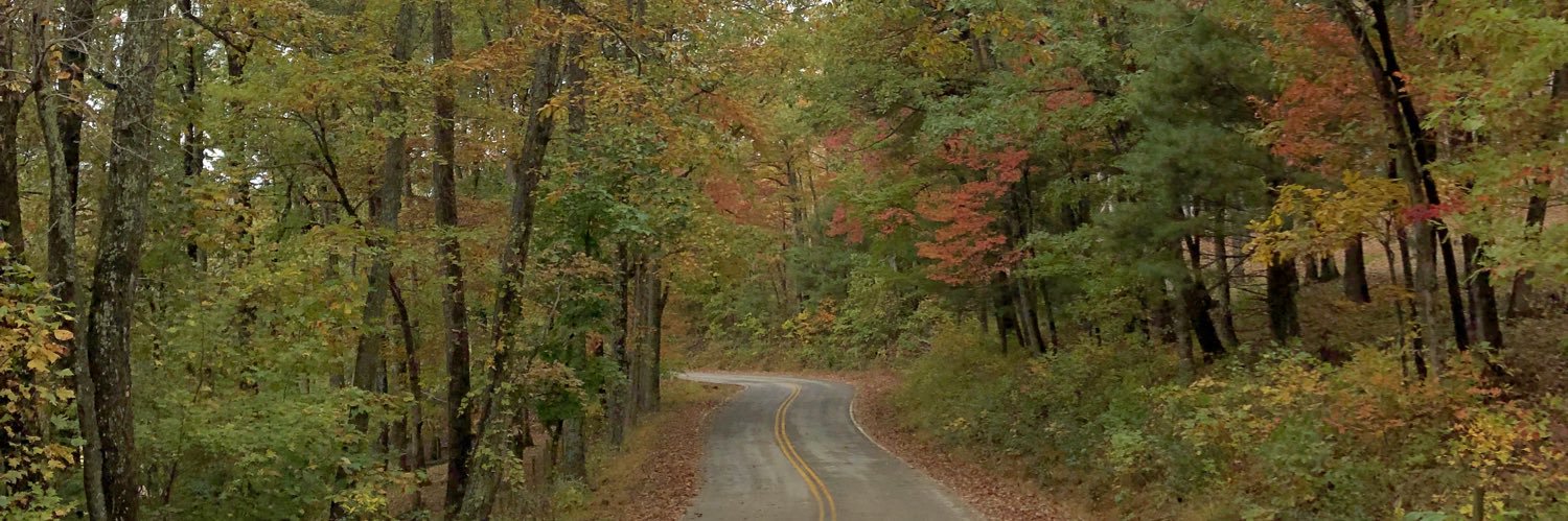 sarakushmin's profile banner image