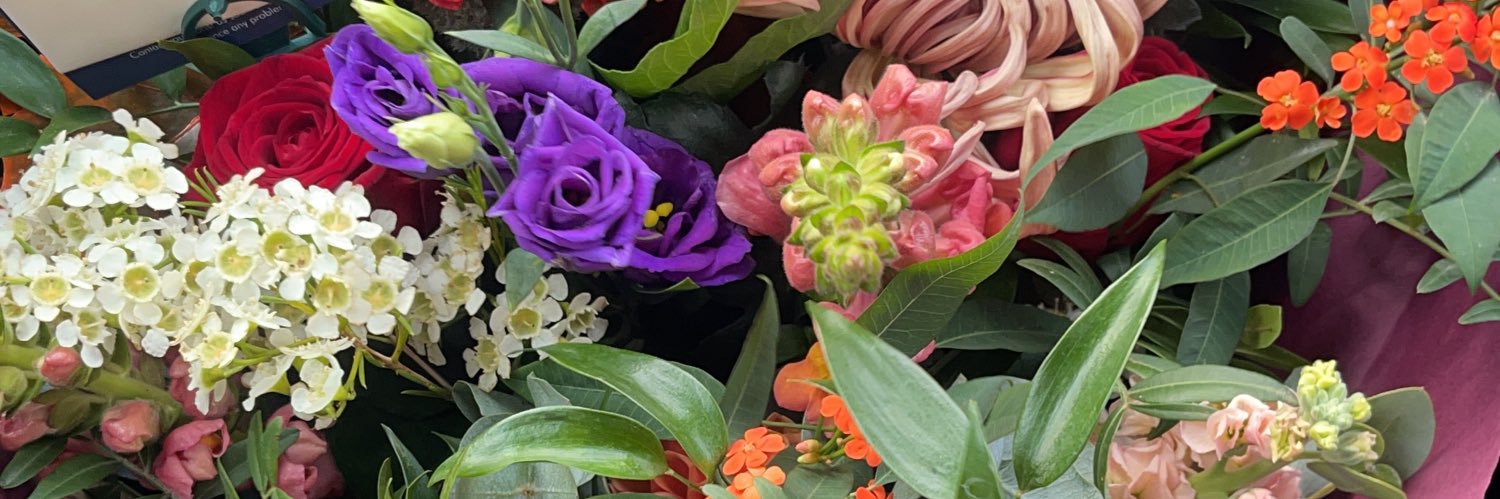 _CatherineKing_'s profile banner image