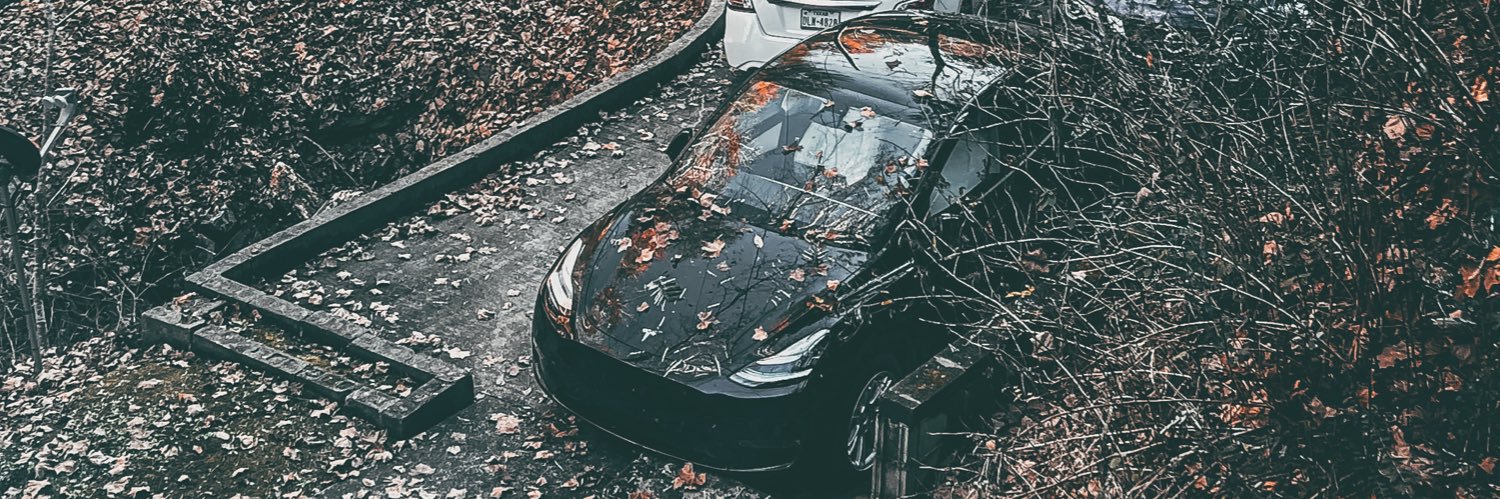 sweetwilly057's profile banner image