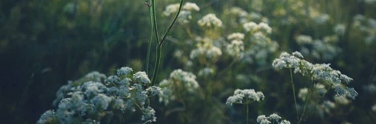 amoole1416's profile banner image