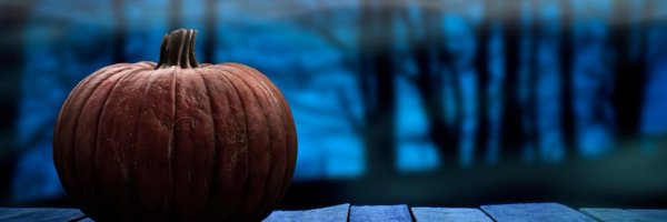 cav1979 Profile Banner