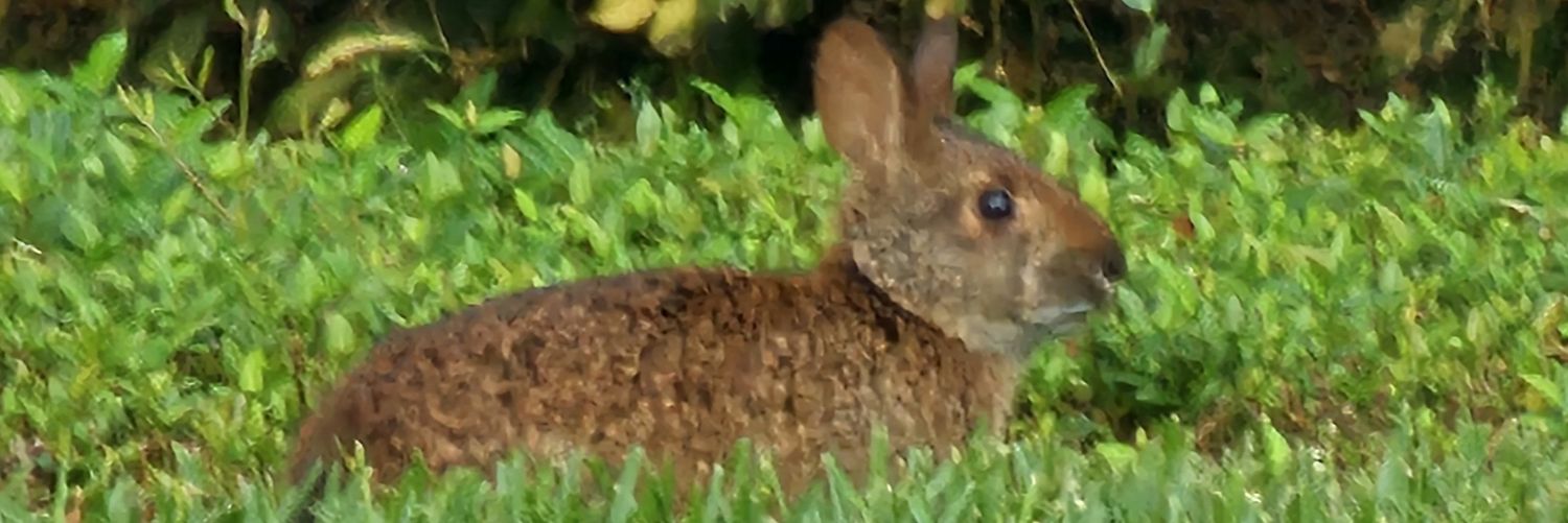 clazzell's profile banner image
