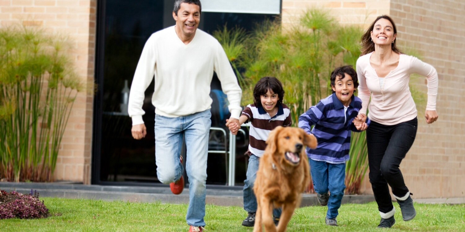 MyFitDog's profile banner image