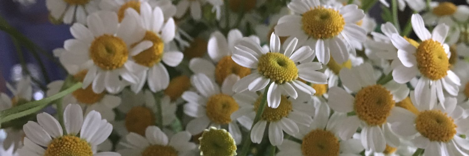JennM_THRC's profile banner image