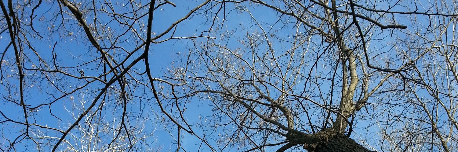 ashayers8's profile banner image