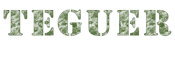 Teguer banner