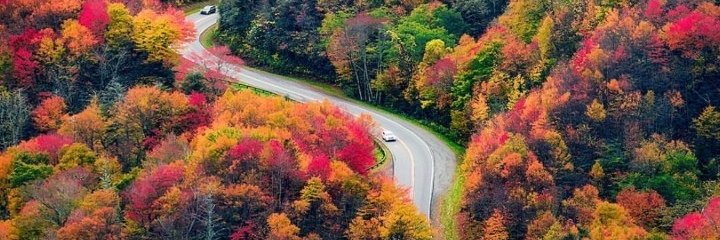 NodyHaeba's profile banner image