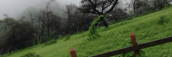 AbdullahSae3sm's profile banner image