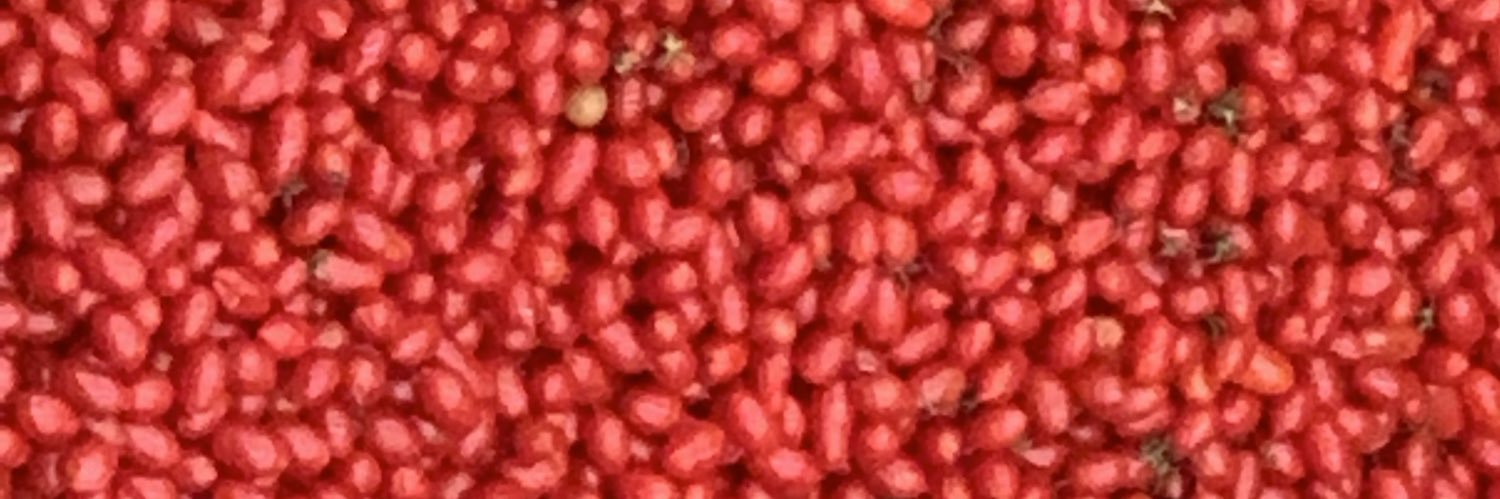 Manuel Rodriguez-Concepcion banner