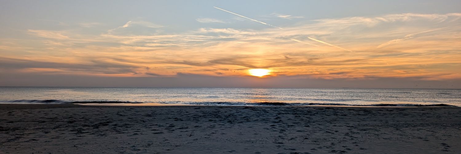 David Saelmans banner