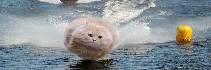 bushby98's profile banner image