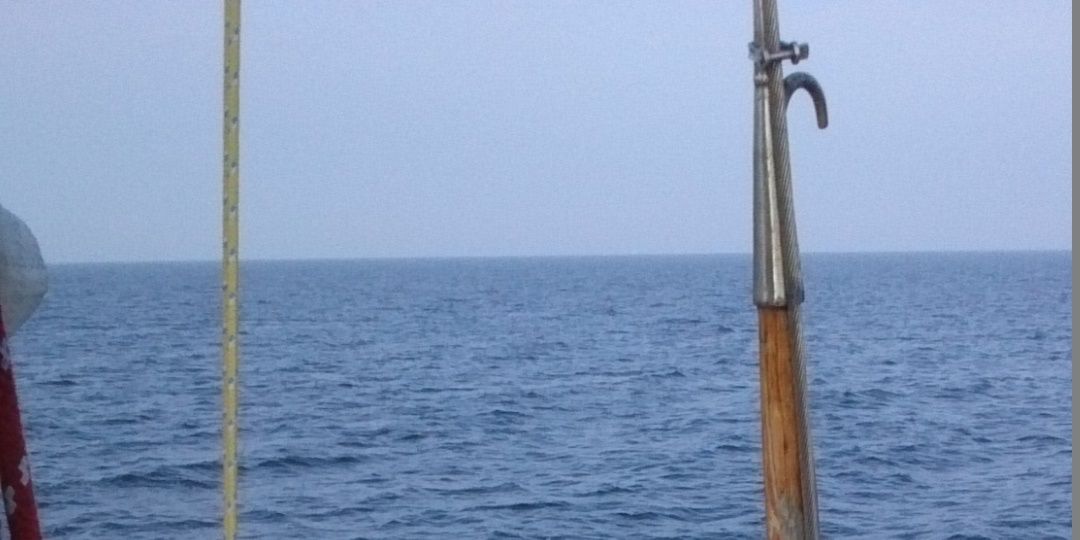 rafalsak00's profile banner image