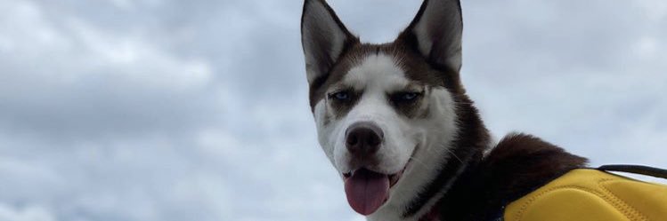 Noah_Bacon's profile banner image