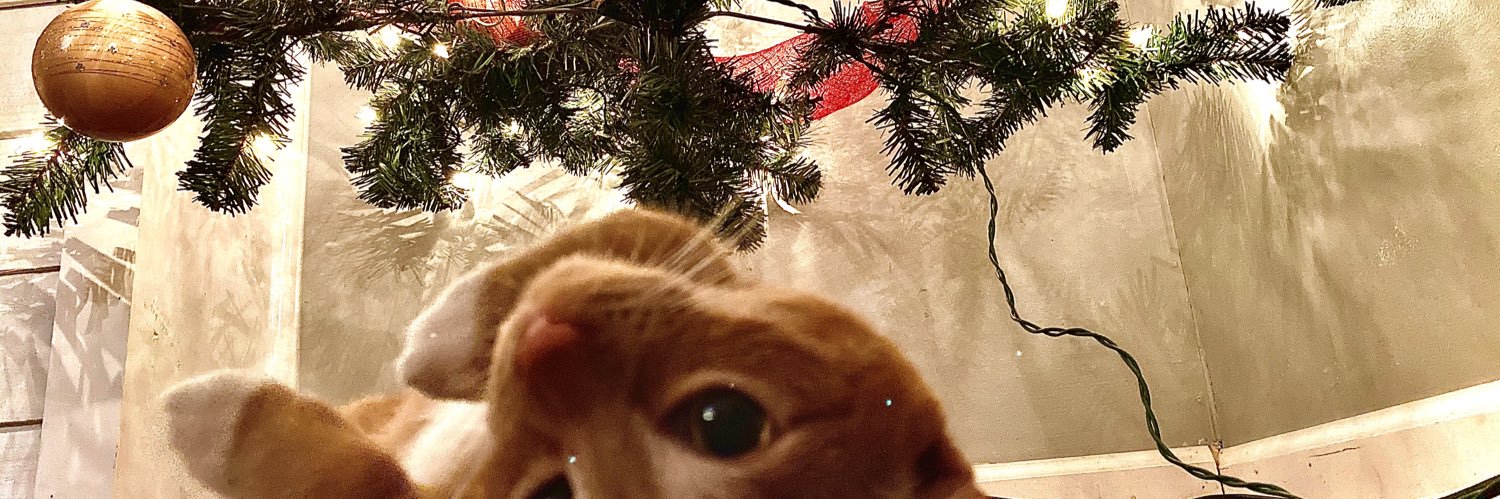 MaCaylaSchebaum's profile banner image
