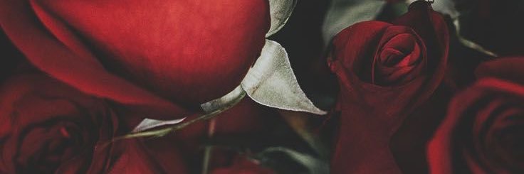 anaaaper's profile banner image